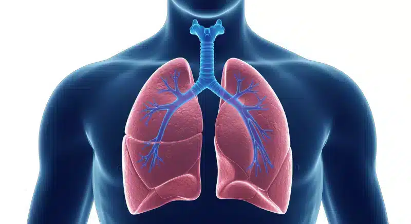 Bệnh Phổi Kẽ: Triệu Chứng, Nguyên Nhân và Điều Trị Chi Tiết