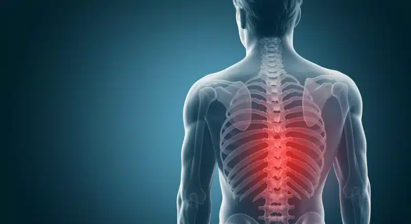 Đau vùng thắt lưng: Triệu chứng, nguyên nhân và cách phòng ngừa