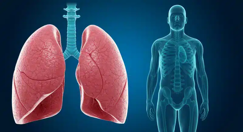 Phổi Kẽ: Nguyên Nhân, Triệu Chứng Và Điều Trị Chi Tiết