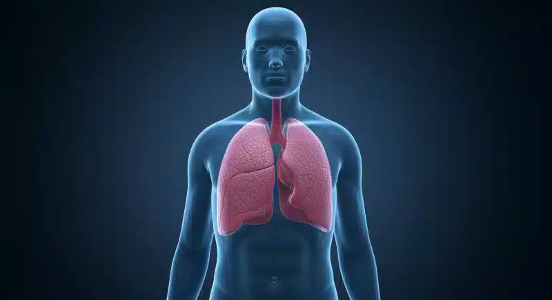 Viêm Phổi Mãn Tính: Hiểu Đúng Để Chủ Động Bảo Vệ Sức Khỏe